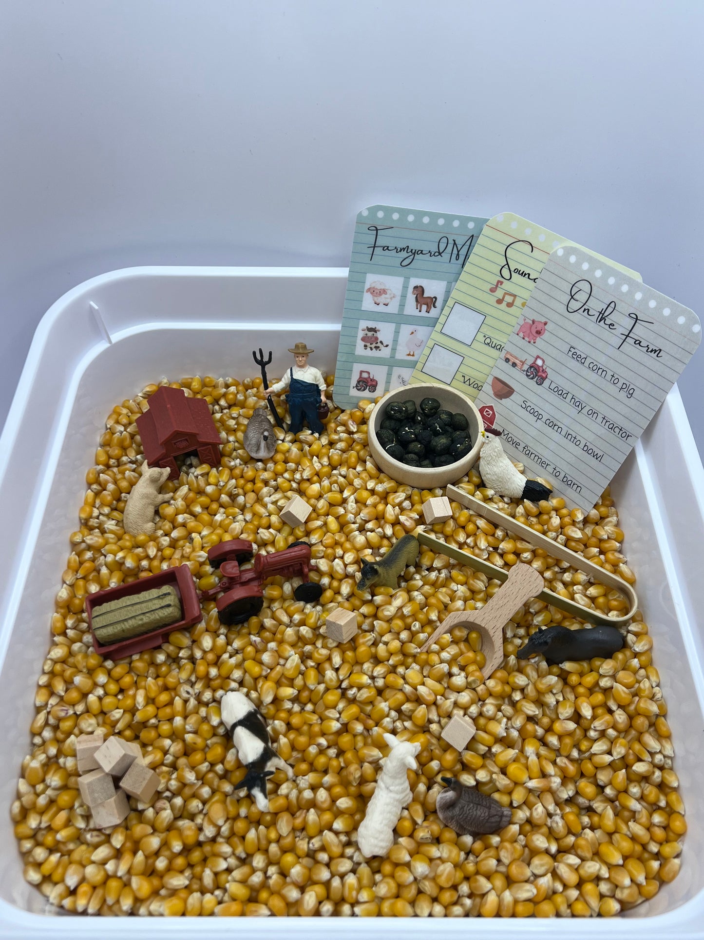 Barnyard Funyard Sensory Bin